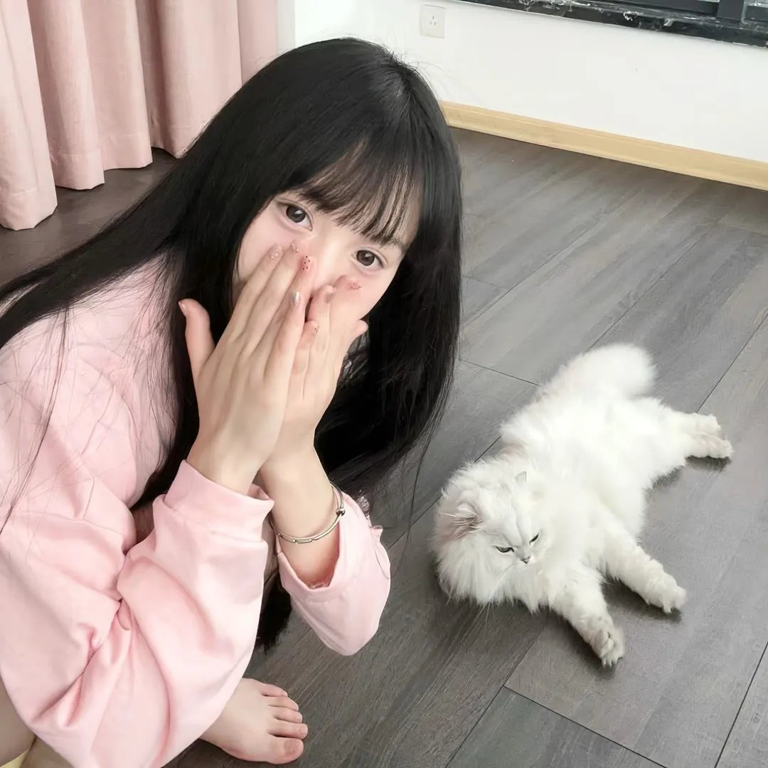 舞院秘闻
